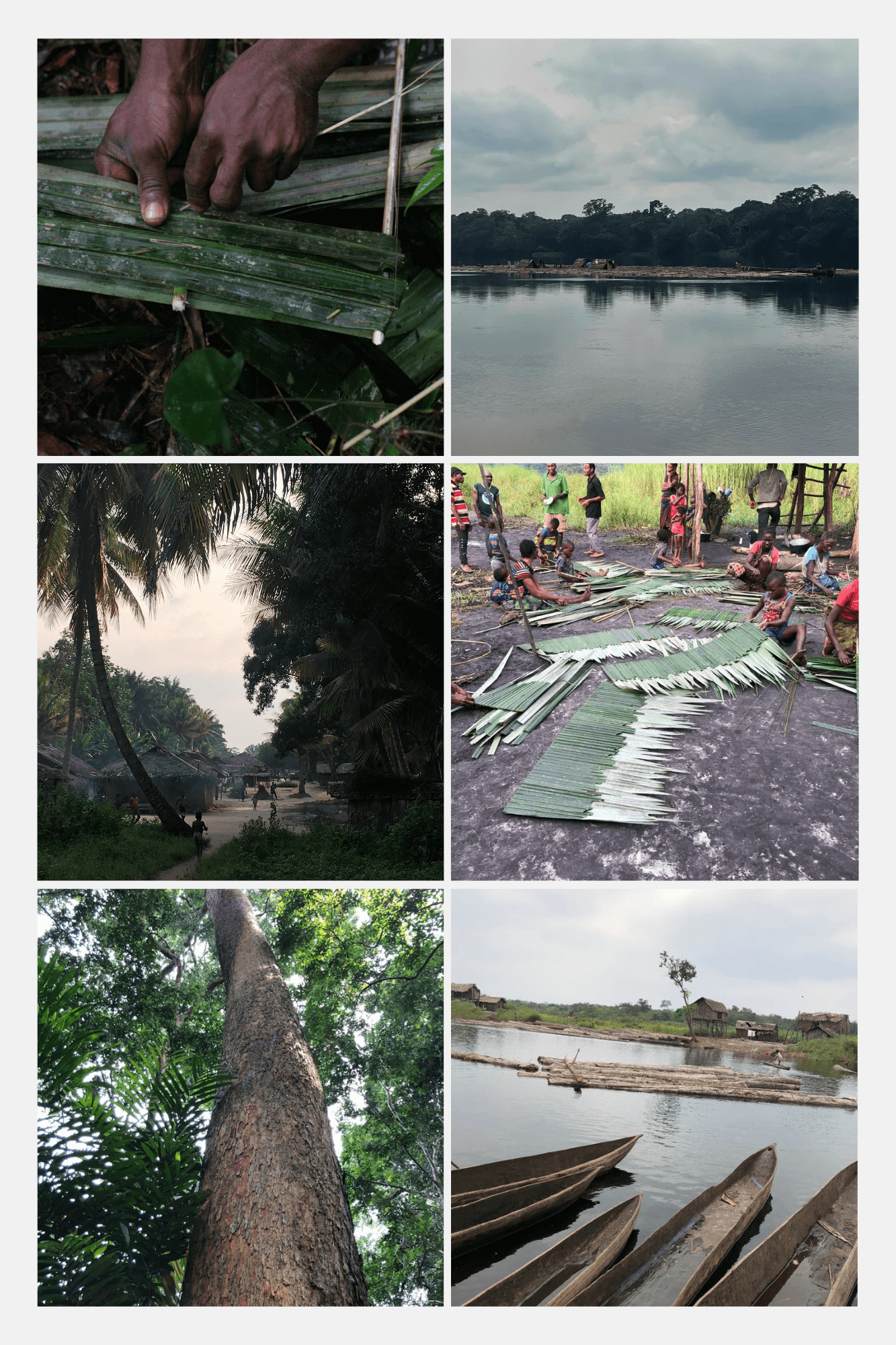 Cassie final collage image