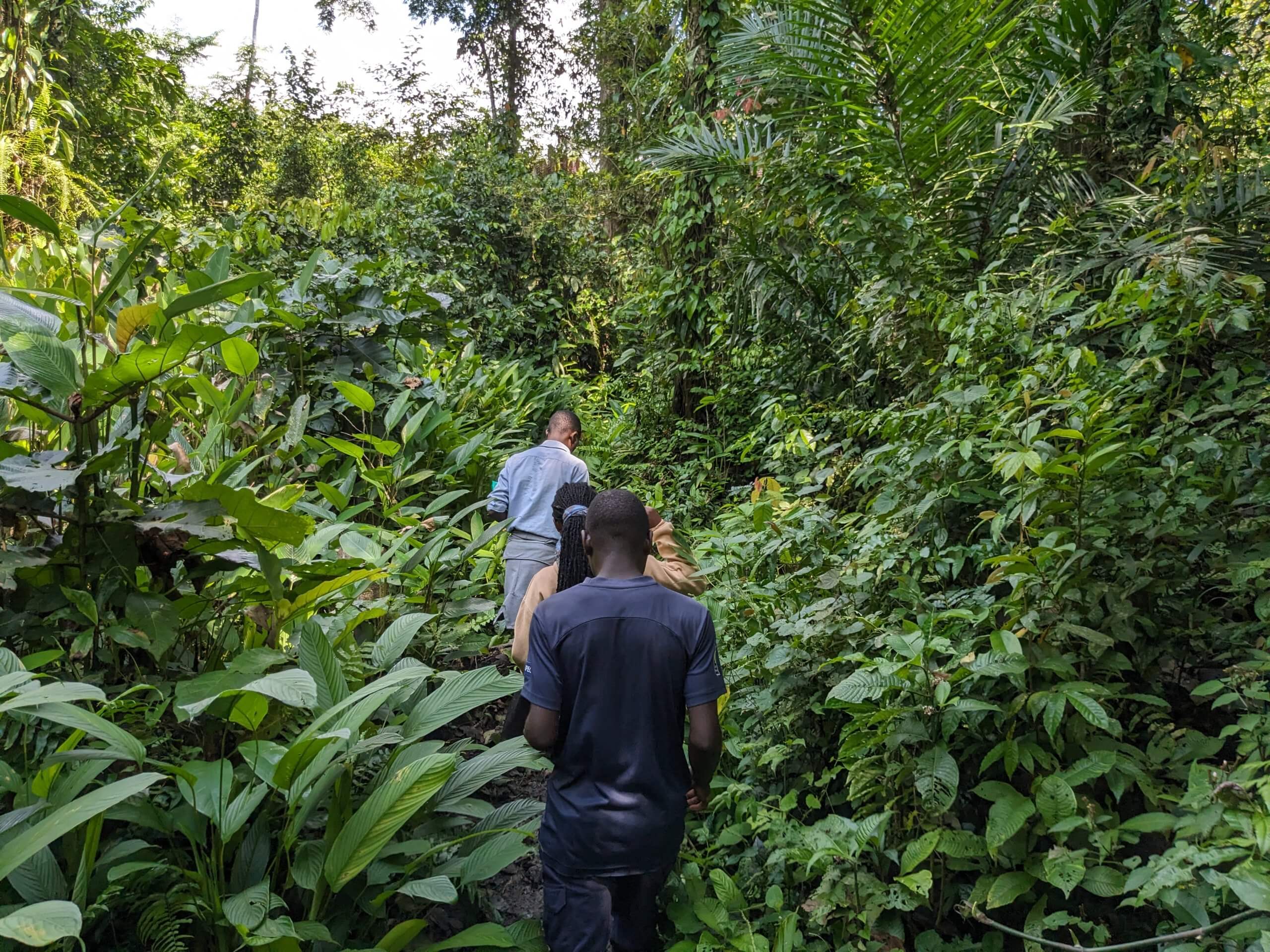 Des membres de la communauté de Bamasobha patrouillent dans leur forêt.
