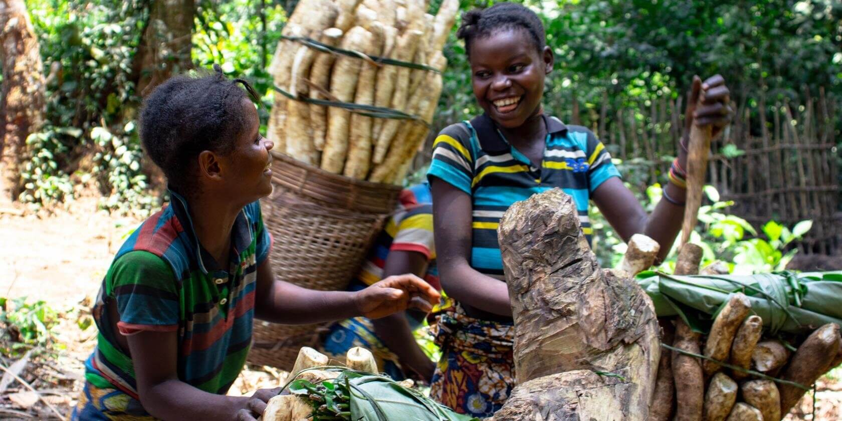 8e3cd43d-b052-455d-aaa9-23a4b55cd439