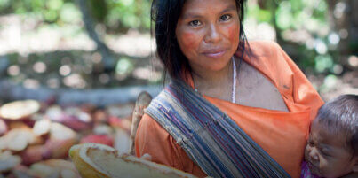 991dd9ea-be46-40b9-8e7c-898c1ecd7dca