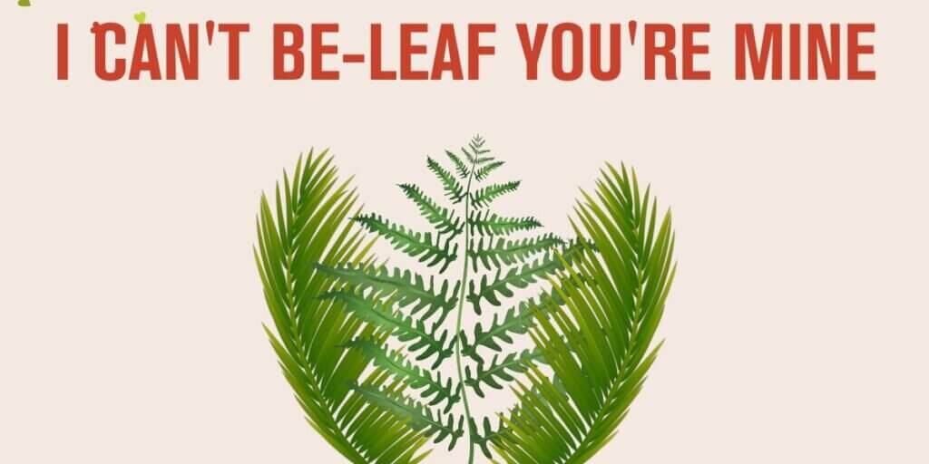 Equipos Microsoft-imagen (1)