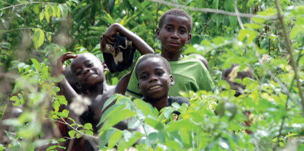 car-community-forests-box_720_540